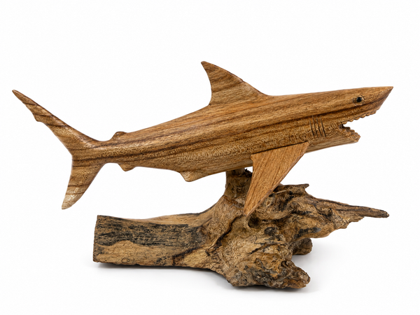 Hand Carved Wooden Shark Sculpture on Driftwood Base